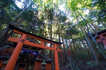 Kyoto Travel : Landscape of Fushimi-Inari Taisha