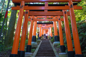 Kyoto Travel : Landscape of Fushimi-Inari Taisha