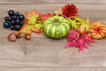 Kürbis mit Herbstlaub