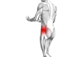 Fototapeta premium Conceptual hip human anatomy with red hot spot inflammation articular joint pain for leg health care therapy or sport muscle concepts. 3D illustration man arthritis or bone sore osteoporosis disease