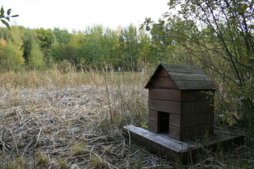 house for ducks in the forest