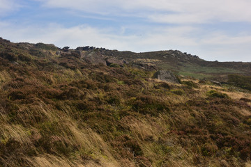Fototapeta na wymiar The Roaches Rock Formation Viewed from Bearstone Rock