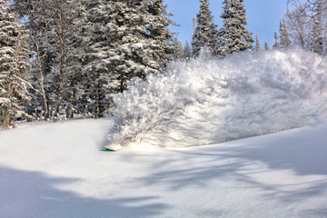 female snowboarder curved and brakes spraying loose deep snow on the freeride slope. downhill with snowboards in fresh snow. freeride world champion.