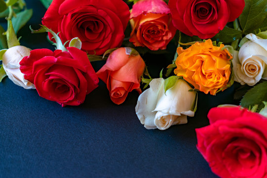 Bouquet of colorful roses lie on blue background. Event design style. Romantic atmospheric photo of flowers