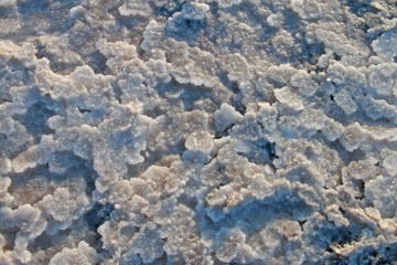 Crystallized salt on the shore of a dead estuary.