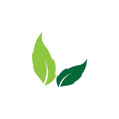 Logos of green leaf ecology nature element vector icon