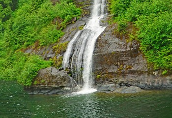 waterfall in forest