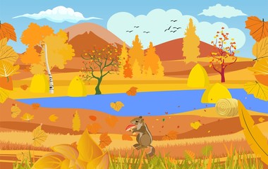 landscapes of wildlife in autumn. chipmunk in wildlife scene, with field, grass, forests, and leaves falling from trees 