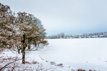 Frost-covered trees on the river bank in winter_