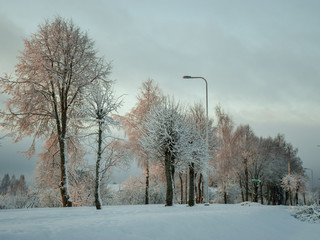 Winter landscape. Winter road and snow-covered trees, early morning