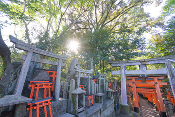 Fototapeta na wymiar Kyoto Travel : Landscape of Fushimi-Inari Taisha