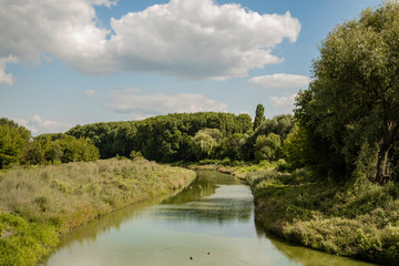 Fototapeta na wymiar ordinary green nature and river landscape 