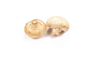 Mushroom champignon on white background