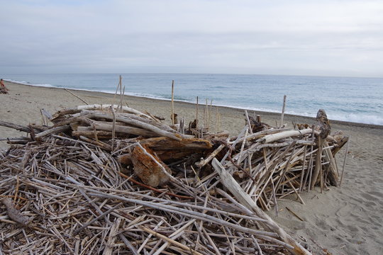 Construction de Bois flotté au bord de la mer sur la plage de sable