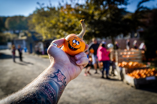 Pumpkin