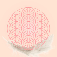 flower of life with feather, soft color