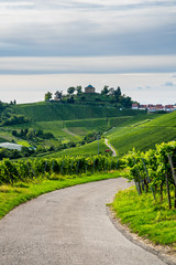 Germany, Way to stuttgart rotenberg mausoleum on a hill in endless green vineyards nature landscape