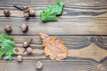 Flat lay acorns and oak leaf on wooden background. autumn concept. Top view, copy space