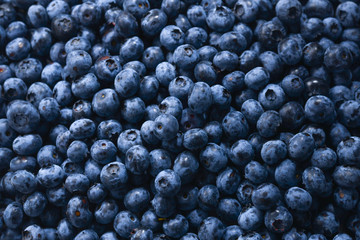 Fresh blueberry background. Texture blueberry berries close up.