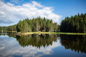 Fototapeta na wymiar landscape with trees and lake