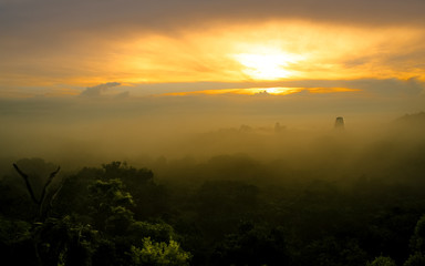 Obraz premium Jungle Sunrise