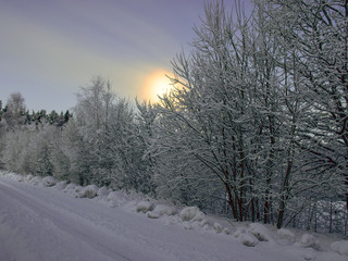 beautiful winter morning, moon behind trees, moonlit, snow covered trees, colorful sky
