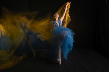 Ballerina in motion © Harris Shiffman