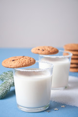 Glasses of milk, cookies, christmas tree branch on the blue background