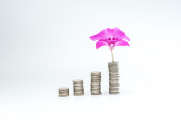 The stack of coins represents investment