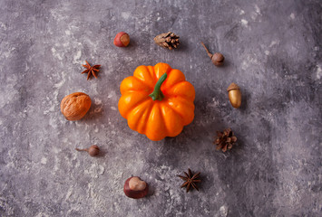Autumn composition with pampkin, nuts and spices on the gray table. Circle shaped. Autumn concept. Minimalism