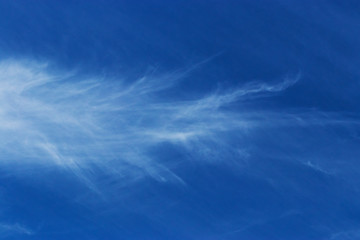 Contrast photo of white clouds on a bright blue background high in the sky