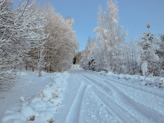 Winter landscape. Winter road and snow-covered trees, early morning