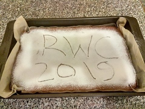 Rugby World Cup Baked Cake