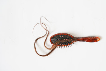Women with long hair on the hair brush show hair loss problems.