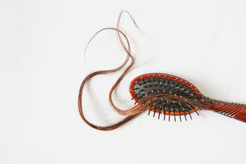 Women with long hair on the hair brush show hair loss problems.