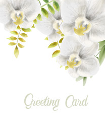 Watercolor white orchid flowers greeting card vector. Background bouquet