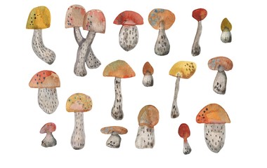 Watercolor cute mushrooms on a white background drawn by hand by an aquel. Perfectly suitable for printing on fabric, printing, wallpaper and other design