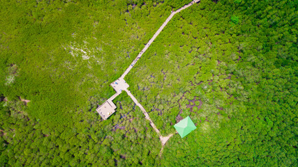 Aerial view of mangrove forest in Rayong province, Thailand.Aerial view of Thung Prong Thong, Rayong, Thailand