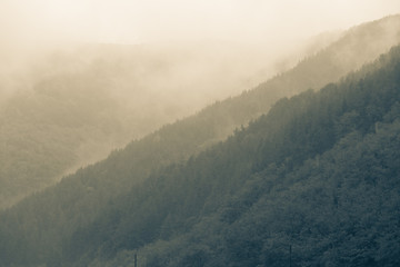 Autumn misty mountain cold background