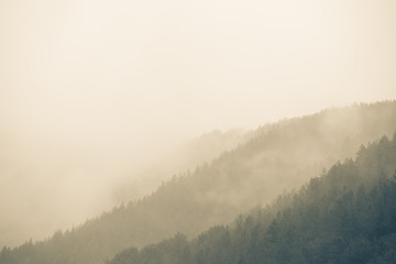 Obraz na płótnie Canvas Autumn misty mountain cold background