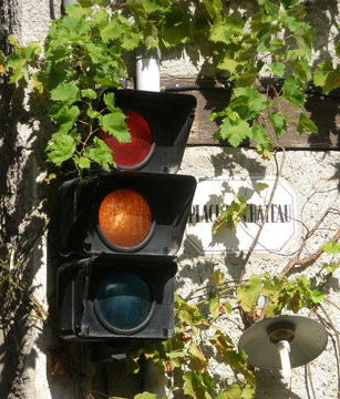 Orange Traffic Light With Vine