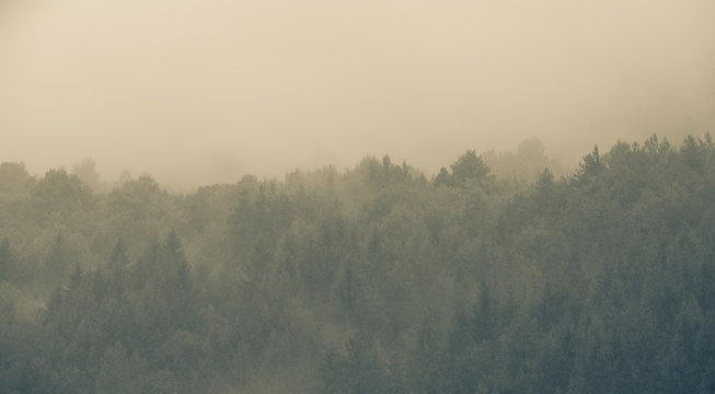 Autumn misty mountain cold background © 2207918