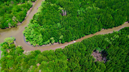 Aerial view of mangrove forest in Rayong province, Thailand.Aerial view of Thung Prong Thong, Rayong, Thailand