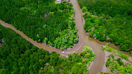 Aerial view of mangrove forest in Rayong province, Thailand.Aerial view of Thung Prong Thong, Rayong, Thailand