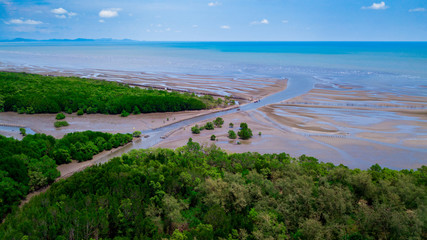 Fototapeta na wymiar Aerial view of mangrove forest in Rayong province, Thailand.Aerial view of Thung Prong Thong, Rayong, Thailand