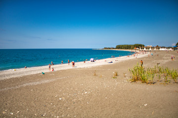 bright summer warm morning in the subtropics