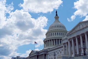 united states capitol building in washington dc