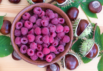 Fresh raspberries background closeup photo. Red raspberries in ceramic bowl on wooden table, chestnuts. 