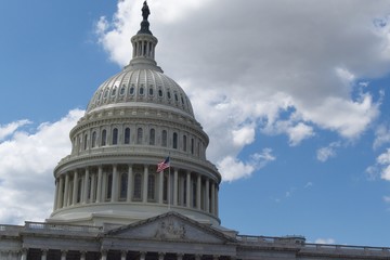 Fototapeta premium united states capitol building in washington dc