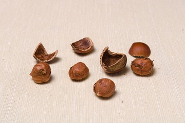 Hazelnut kernels, nuts and shellnuts mess up on a light cloth tablecloth/ Background with copyspace